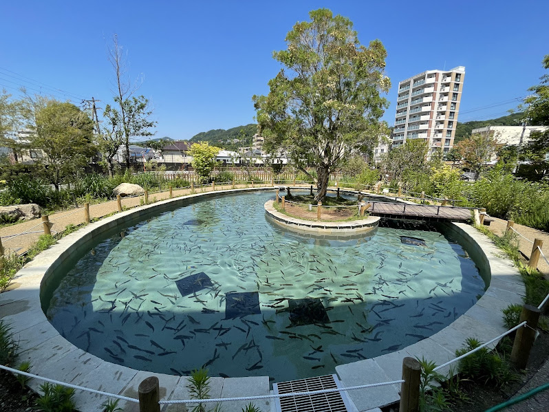 みなとやま水族館